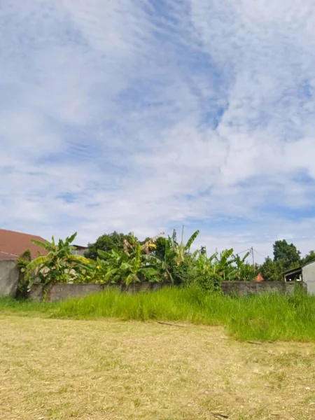 Bulutlu mavi gökyüzü ve yeşil çimen, seçici odak