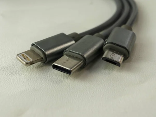 Micro USB TYPE C Elma Yıldırımı akıllı telefon için şarj kabloları
