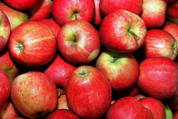 красный яблоки полный размер, крупный план