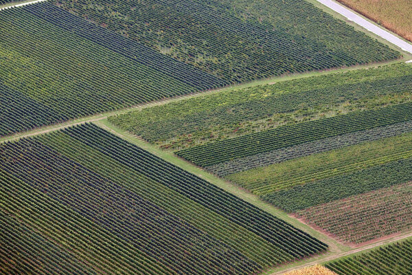Вид на поля с высоты птичьего полета