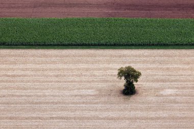 Tarlaların kuş bakışı görüntüsü