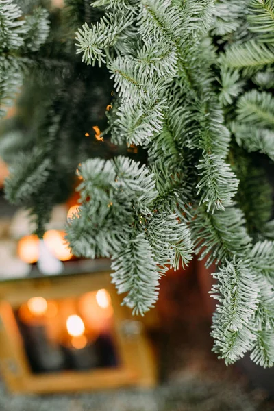 Zielone Sosnowe Igły Zamknąć Boże Narodzenie Symbol Wypełniony Tło — Zdjęcie stockowe