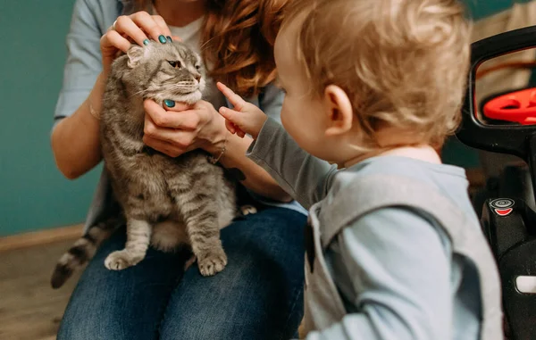 Pet Cat Play Child Family House Love Friend — Stockfoto