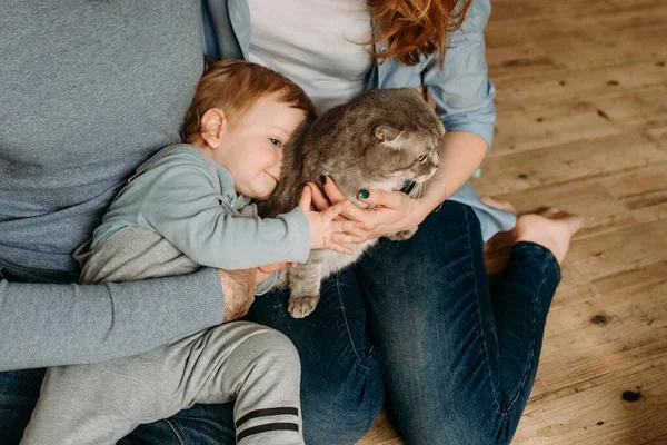 Pet Cat Play Child Family House Love Friend — Stock fotografie