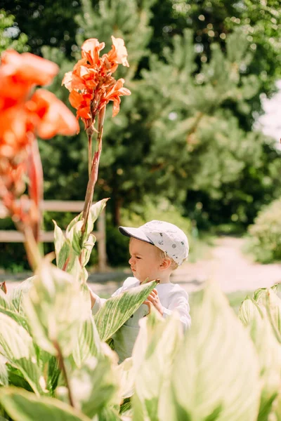 boy wants to pick a big flower in the flowerbed in the par