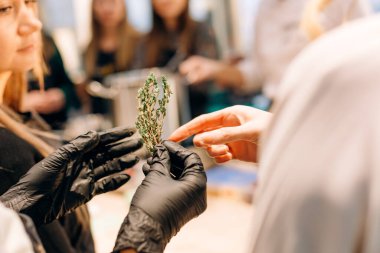 show fresh seasoning rosemary thyme in the hands of a chef in rubber glove