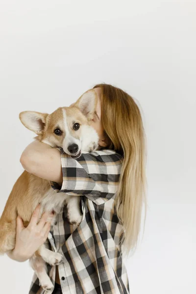 Mujer Con Una Mascota Corgi Perro Juega Enseña Peludo Amigo —  Fotos de Stock