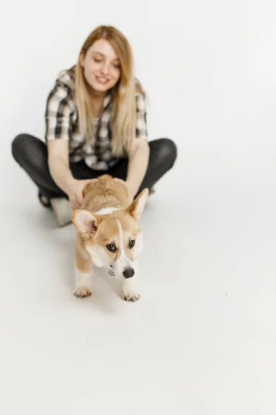 Mujer Con Una Mascota Corgi Perro Juega Enseña Peludo Amigo — Foto de Stock