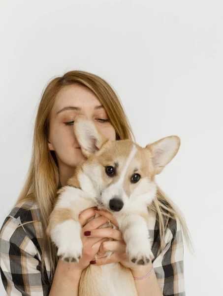 Mujer Con Una Mascota Corgi Perro Juega Enseña Peludo Amigo —  Fotos de Stock