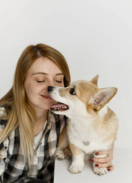 Donna Con Cane Corgi Animale Domestico Gioca Insegna Comando Amico — Foto Stock