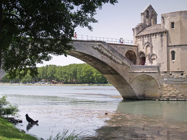 Pont d'Avignon — Zdjęcie stockowe