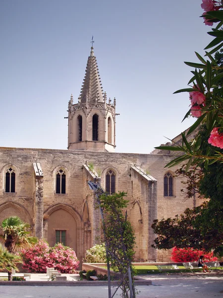 Avignon, Ranska — kuvapankkivalokuva
