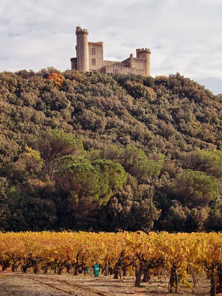 Chateau du jonquier, gard, — Fotografia de Stock