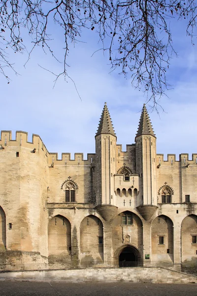 Der eingang zum päpstlichen palast in avignon, frankreich — Stockfoto