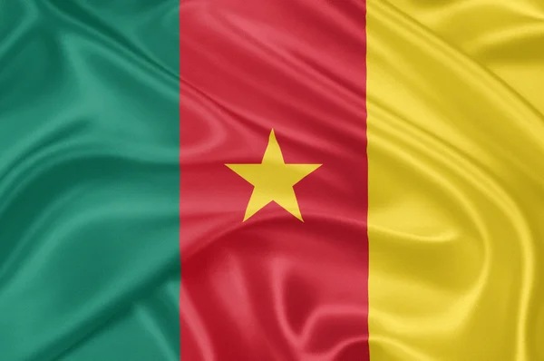 Flag of Cameroon — Stock Photo, Image
