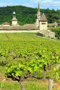 Monastery of Valbonne with his vinyard clipart