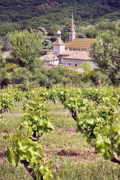Mosteiro de Valbonne com seu vinhedo — Fotografia de Stock