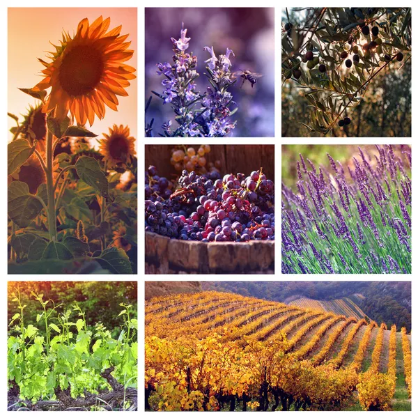 Farben der Provence, Frankreich Stockbild