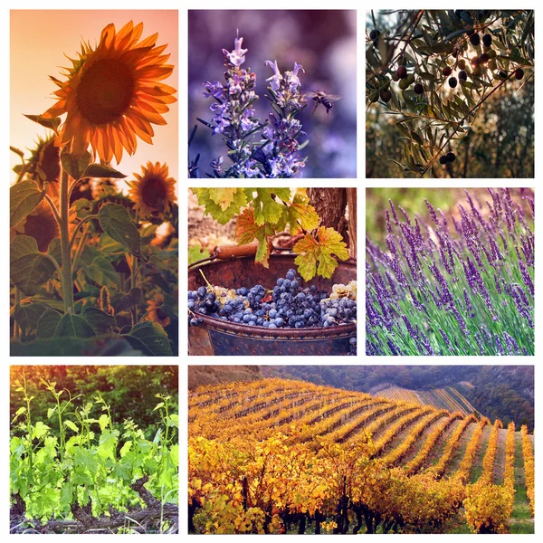 Kleuren van de provence, Frankrijk — Stockfoto