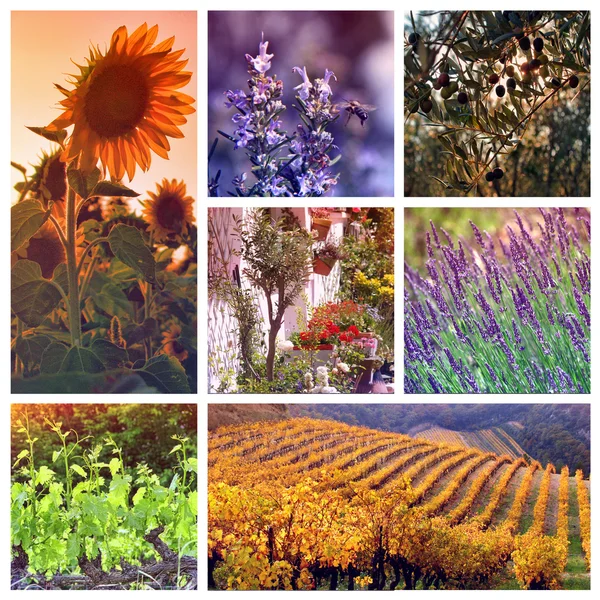 Farben der Provence, Frankreich Stockbild
