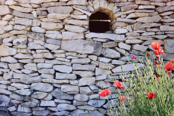 Red poppies and the wall — Stock Photo, Image