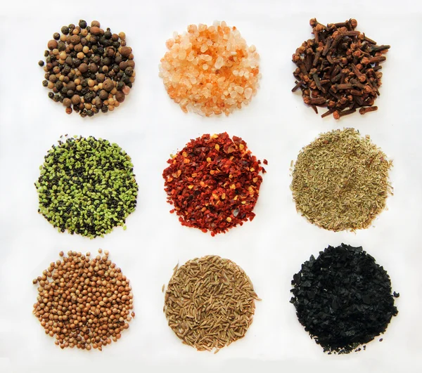 Variety of spices isolated — Stock Photo, Image