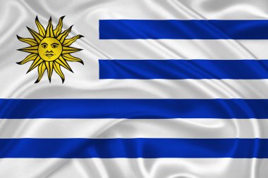 uruguay bayrağı