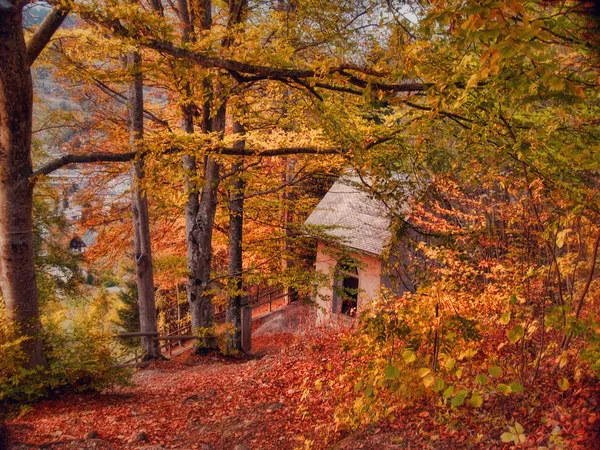 Podzimní krajina - srub v lesích — Stock fotografie