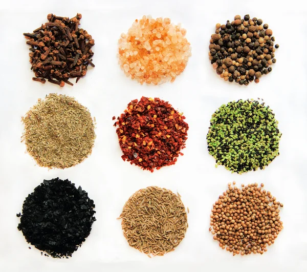 Variety of spices isolated — Stock Photo, Image