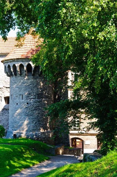 Středověká věž v Tallinnu — Stock fotografie
