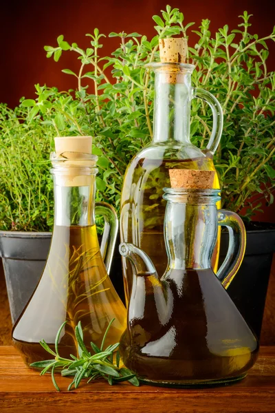Infused oil and fresh green herbs — Stock Photo, Image