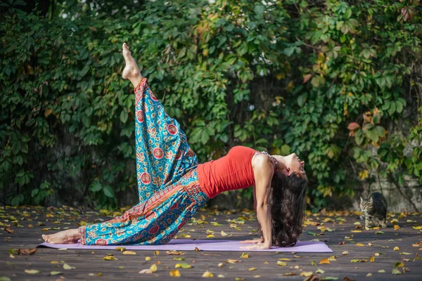 Bella Donna Che Yoga Posa Con Gatto Nel Parco Sul — Foto Stock