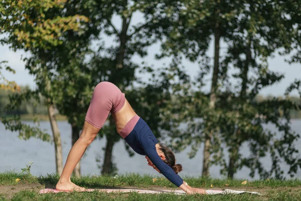 Hermosa Chica Haciendo Yoga Posa Atardecer Parque Equilibrio Fitness Estiramiento — Foto de Stock