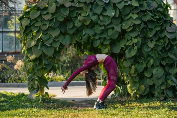 Красива Дівчина Спортивному Одязі Займається Йога Позує Алеї Осінньому Парку — стокове фото