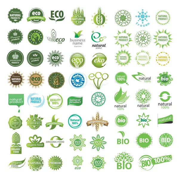 Set of eco friendly, natural and organic labels. — Stock Vector