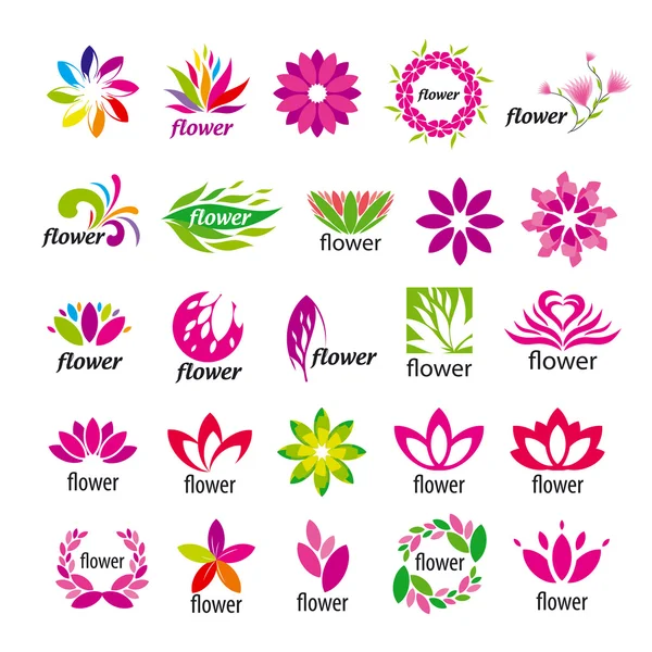 Collection of vector multicolored floral logos — Stock Vector