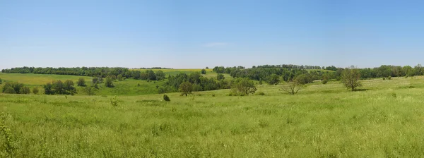 Деревья и поляны в горах ясный летний день — стоковое фото