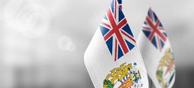 İngiliz Antarktika Bölgesi 'nin ulusal bayrağının beyaz tişörtlü kısmı.