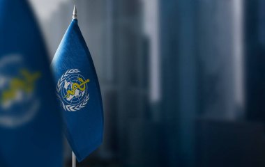 Şehrin bulanık arka planında Dünya Sağlık Örgütü WHO 'nun küçük bayrakları