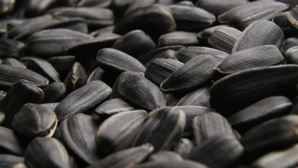 Siyah ayçiçeği tohumları yavaşça yaklaşır. — Stok video