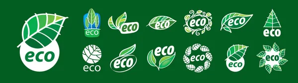 A set of vector eco icons on a green background — Stock Vector