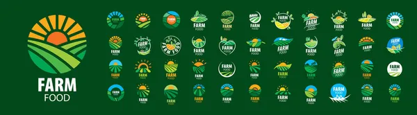 Un conjunto de vectores Logotipos de alimentos de granja sobre un fondo verde — Vector de stock