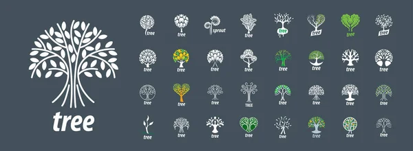 Набір векторних логотипів із зображенням дерева — стоковий вектор