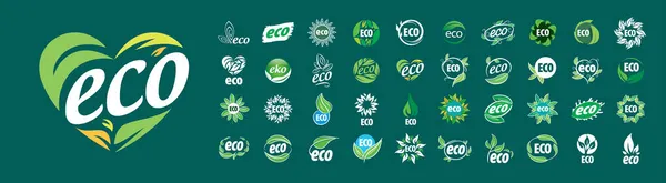 A set of vector Eco logos on a green background — Stock Vector