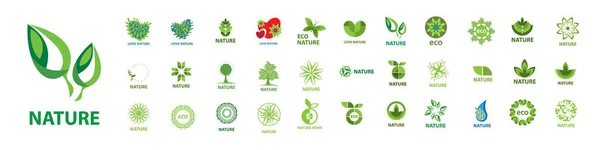 Набор векторных логотипов экологии и природы на белом фоне — стоковый вектор