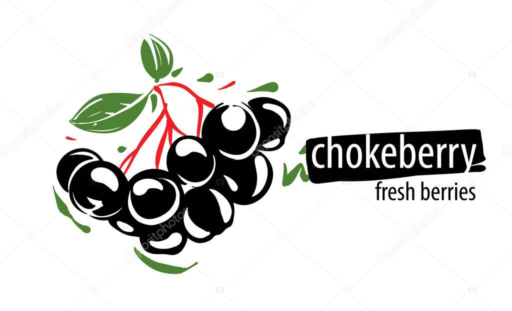 Drawn vector chokeberry on a white background