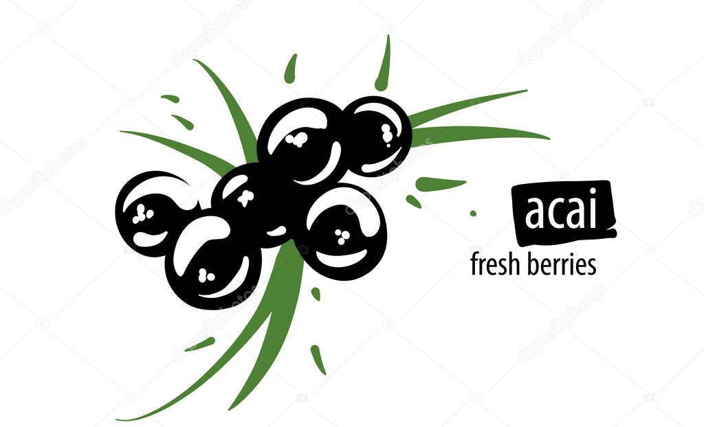 Drawn vector acai on a white background.