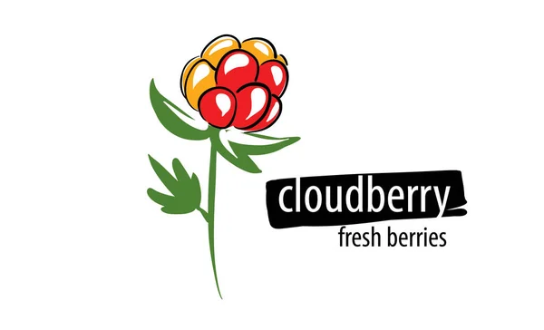 Drawn vector cloudberry on a white background — Stockvektor