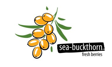 Beyaz arkaplana Deniz dikeni çizili