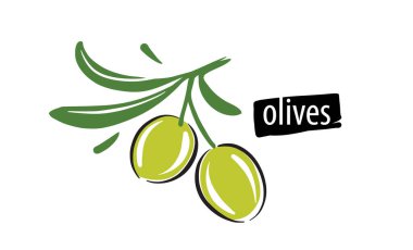 Beyaz arkaplanda zeytin vektörü çiz